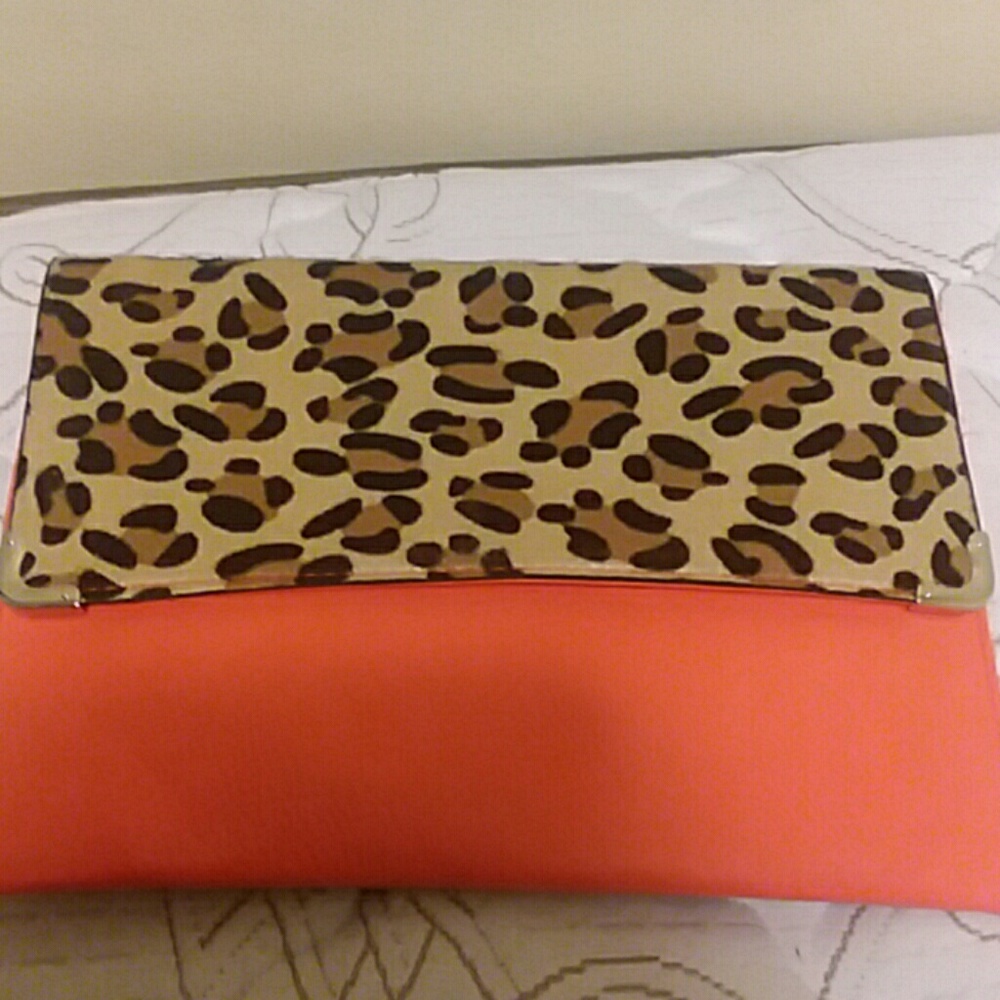 sassy clutch or purse